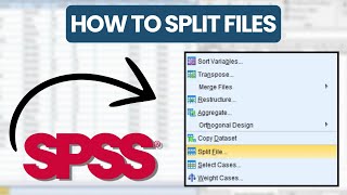 How to Split Files in SPSS (2025) Net Worth