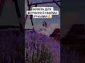 КРИЛА ДЛЯ ФОТОСЕСІЇ СВОЇМИ РУКАМИ 👼🏼🔥 #familyvideo #diy #криласвоїмируками #криладляфотосесії
