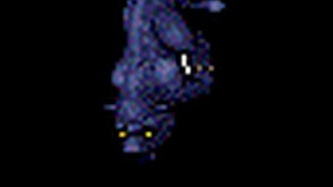 Midnight Panther. Makaveli Don[Muppet-Dolera]