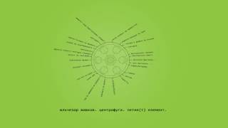 видео: Жлъч - Agnosco veteris vestigia flammae (Freestyle) картинка: Жлъч - Agnosco veteris vestigia flammae (Freestyle)