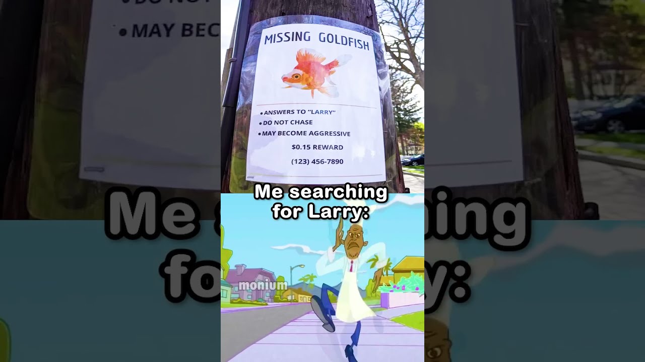 Missing Goldfish Shorts
