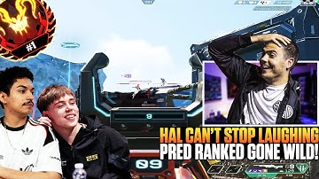ImperialHal Couldn’t Stop Laughing With PanicApex & Rank #1 Predator 😂