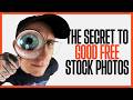 Mein Geheimnis Um WIRKLICH Gute Kostenlose Stockfotos Zu Finden