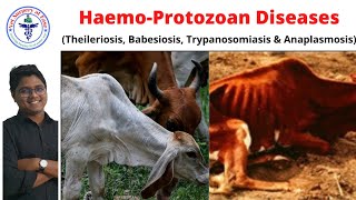 HemoProtozoan Diseases | Bovine Diseases | Lecture 01
