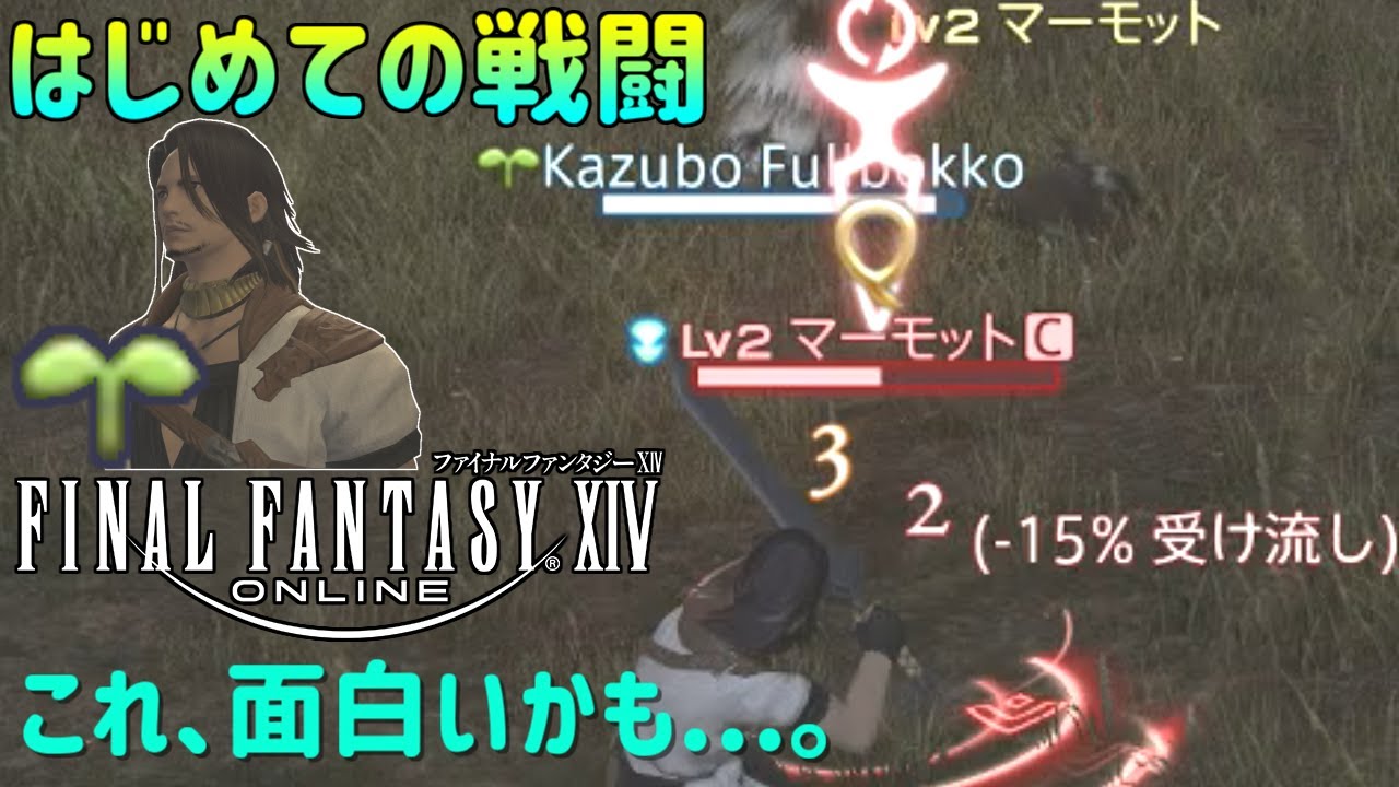 ファイナルファンタジー１４オンライン ３ 完全初見プレイ やばい 面白い はじめての戦闘 サブストーリー Ff14コンプリートパック Youtube