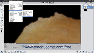Photoshop Elements 2020 Tutorial Defringing Layers Adobe Training