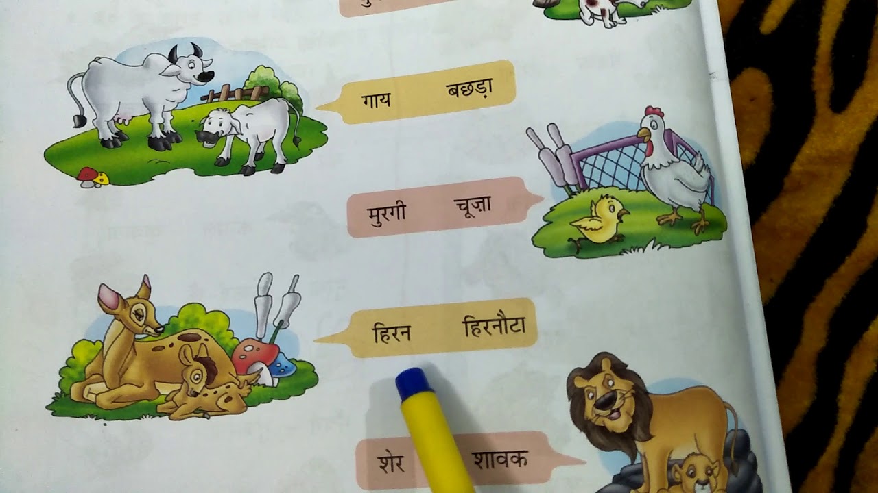 Animals and their young ones in Hindi in online classes for kids by  excellent channel by ritashu - YouTube