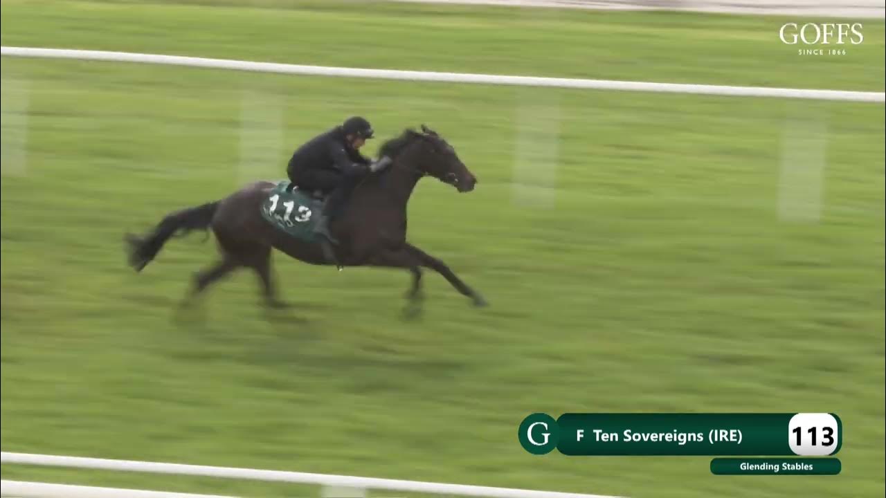 Goffs Breeze Up 2024 Lot 113 YouTube