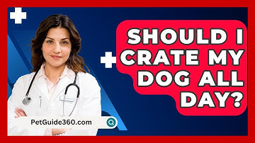 Should I Crate My Dog All Day? - PetGuide360.com
