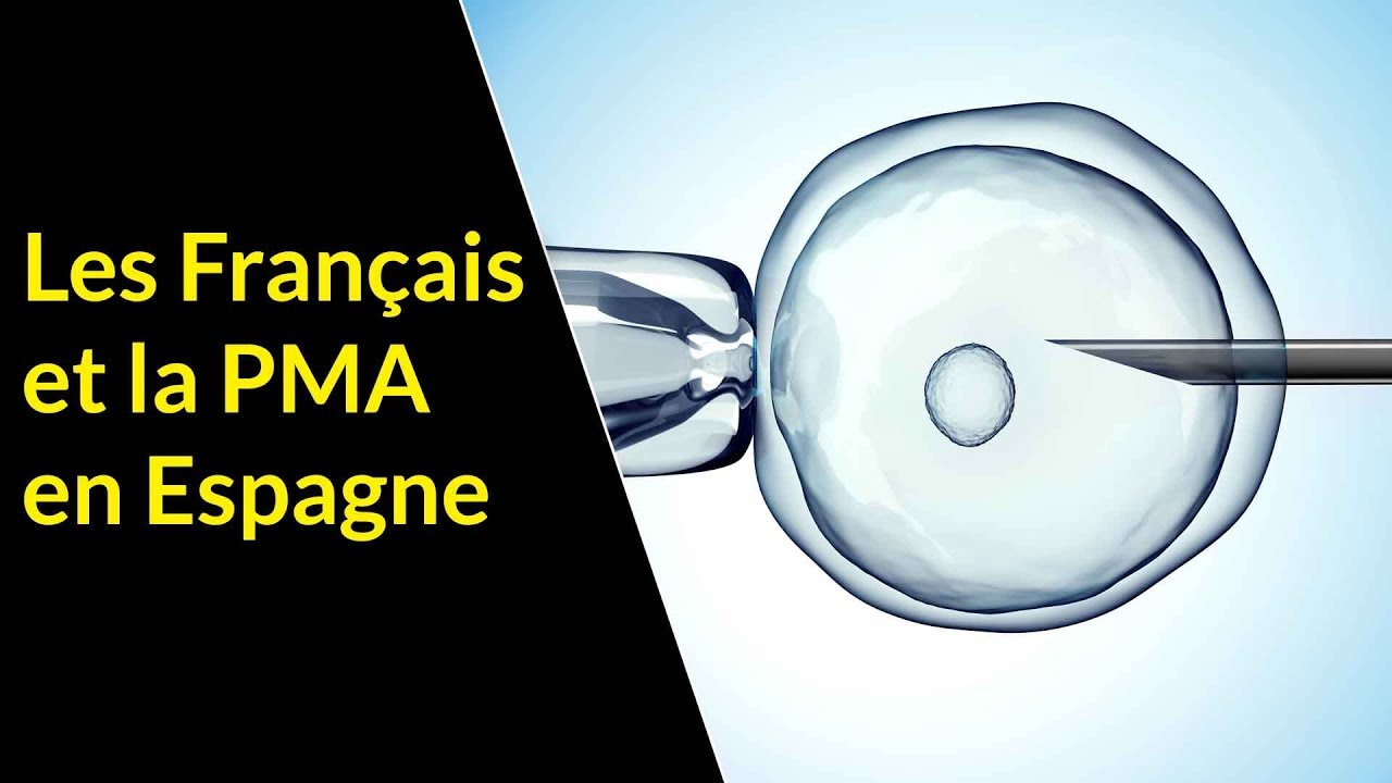 Les Français et la PMA en Espagne