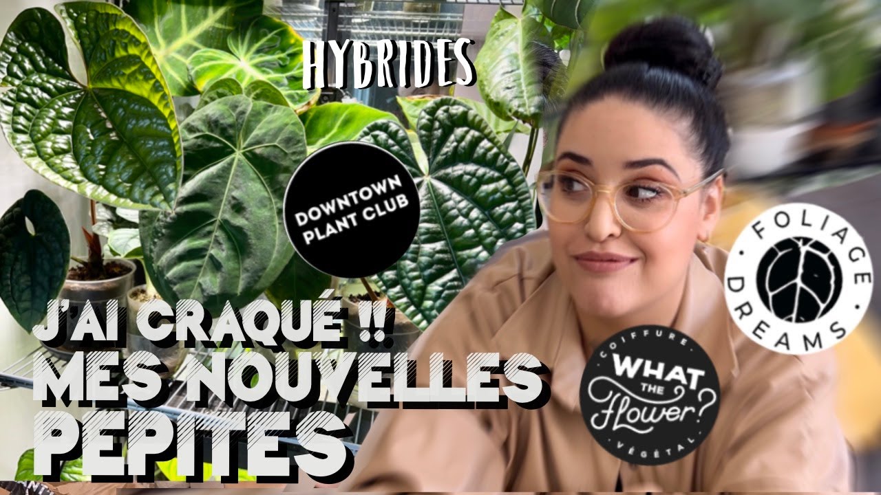 NOUVELLES PLANTES RARES, graines et accessoires. UNBOXING de vraies PEPITES.