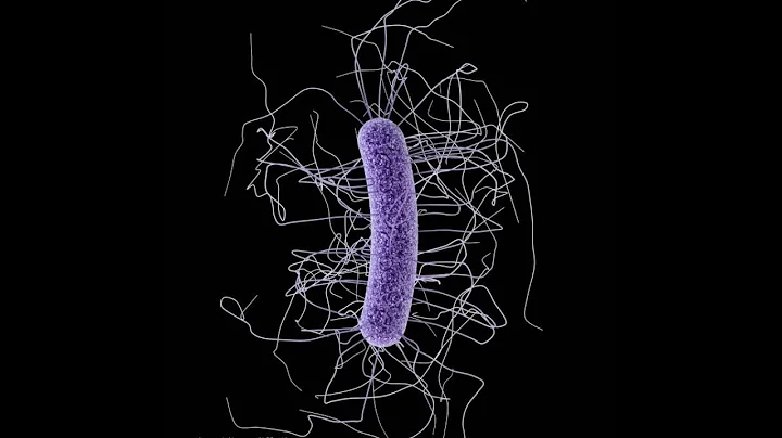 C. diff: An interview with infection preventionist...