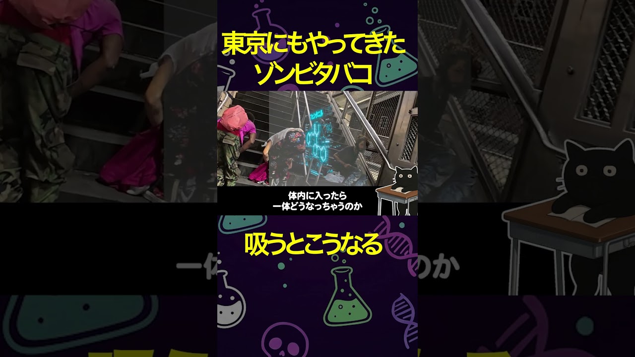東京でフェンタニルを吸うとこうなる