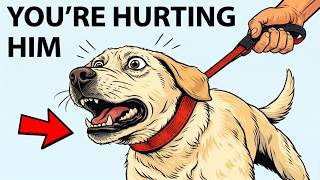 The Right Way to Walk Your Dog (Most People Do It Wrong) The Right Way to Walk Your Dog (Most People Do It Wrong)