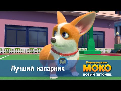 Корги по имени Моко. Новый питомец - Серия 39.Лучший напарник - Премьера мультфильма