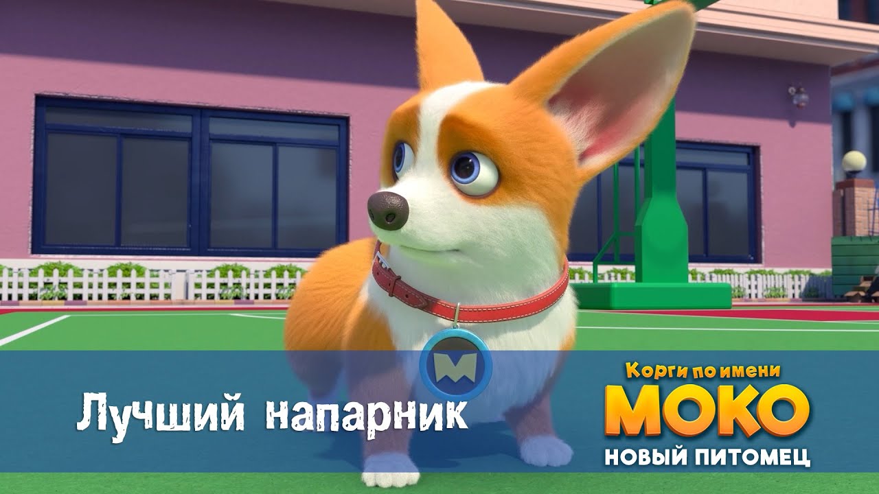 Корги по имени Моко. Новый питомец - Серия 39.Лучший напарник - Премьера мультфильма