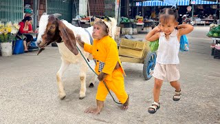 OMG😂 CUTIS & Yen Nhi Do The Most Surprising Special Today...