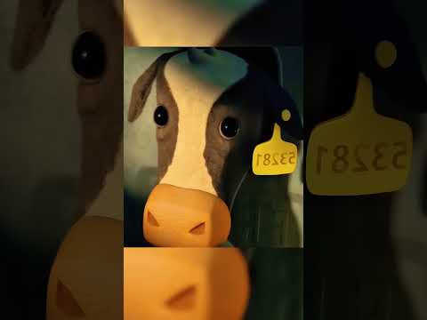 Вот такая это необычная фабрика!