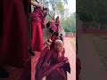 Cute monks and deer  animal deerpark soul lovely ytshorts jamiskyong