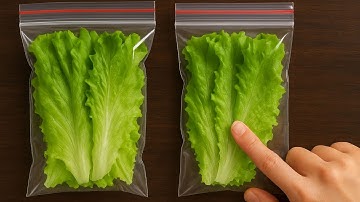 Zo houdt u sla wekenlang vers en knapperig – geen verspilling meer!