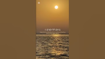 تلاوة تشرح الصدر وتطمئن القلب ❤️ #explore #قرآن #ماهر_المعيقلي #سورة_محمد