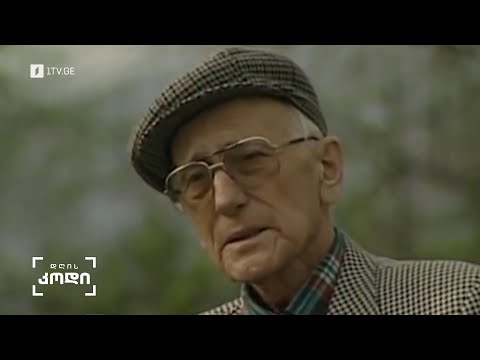 #დღისკოდი „თავისუფლება ისეთივე საინტერესო სიტყვაა, როგორიცაა გარდაცვალება“ - ჭაბუა ამირეჯიბი