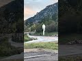 Went to fly my drone and found a bear!