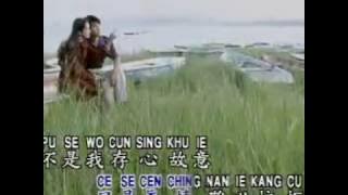 不是我不小心 (華旋影視 原聲 KTV)