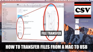 How to TRANSFER Files from a Mac to USB - Basic Tutorial | New (2022)