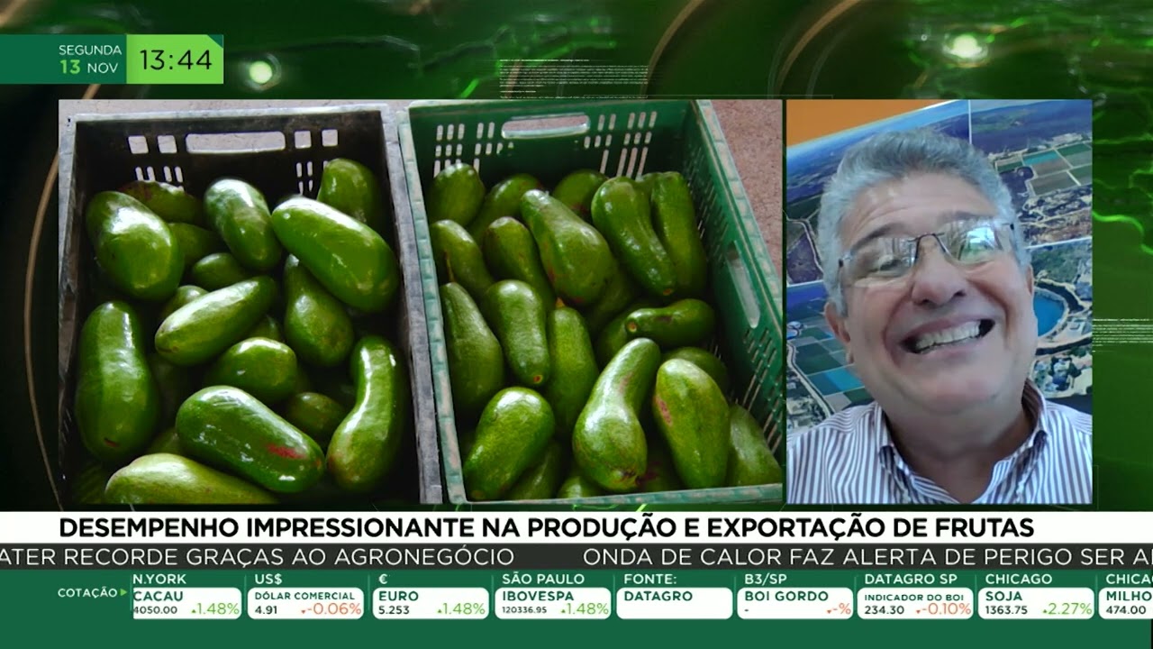 Desempenho impressionante na produção e exportação de frutas