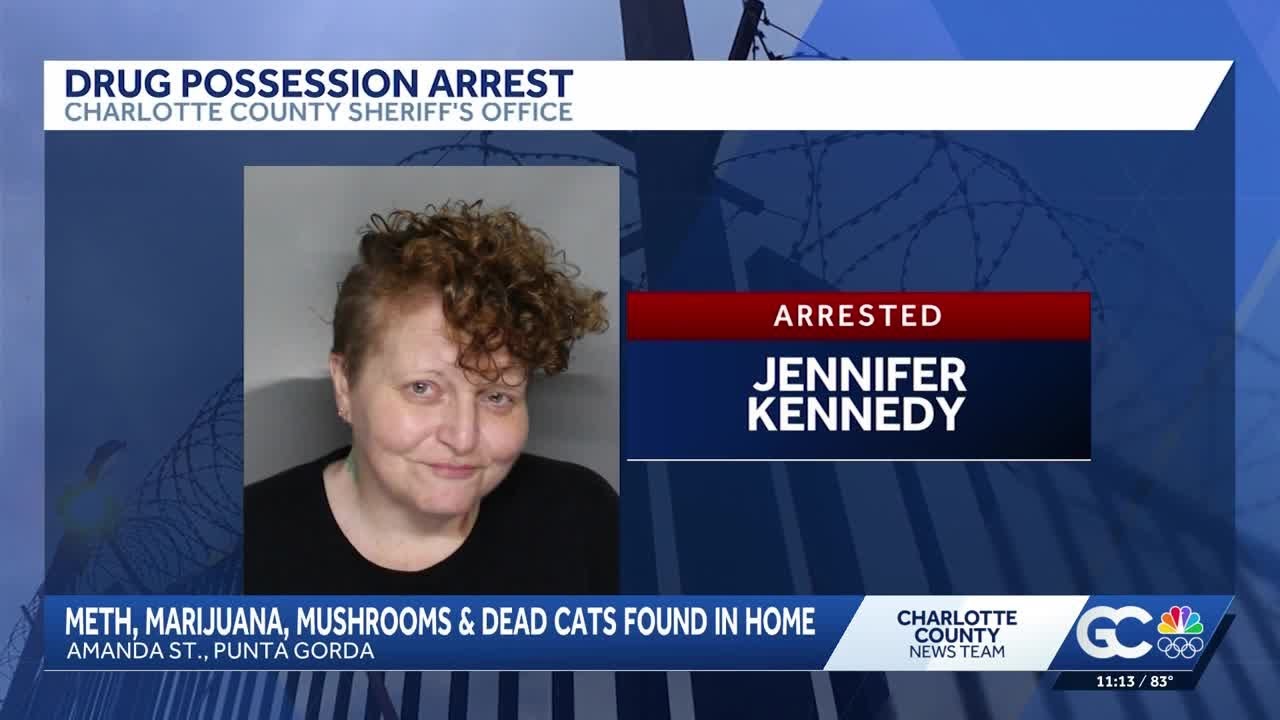 Punta Gorda woman arrested after deputies discover drugs and dead cats ...