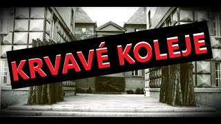 Krvavé Kounicovy koleje | 10 | Nacistické věznice v Brně