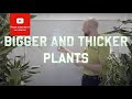 How to grow your plants bigger and thicker