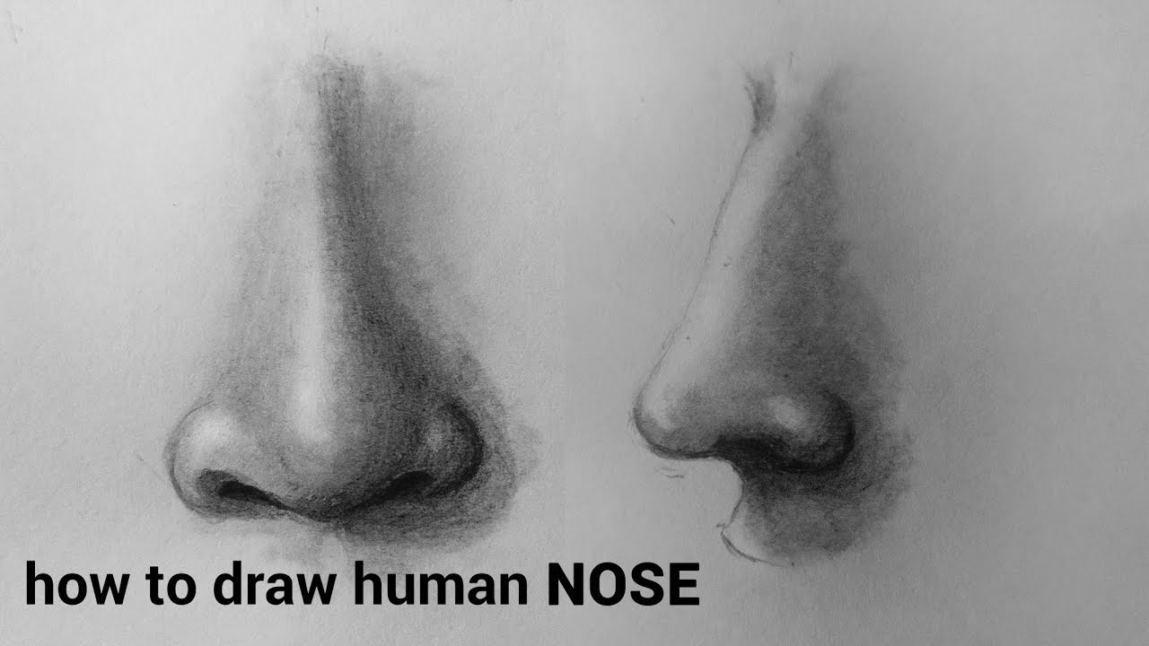 How To Draw Human Nose - Maxresdefault