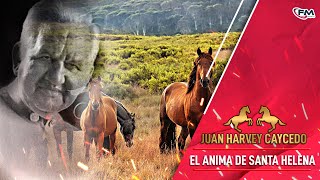 Video voorbeeld van "El Anima de Santa Helena -  Juan Harvey Caycedo |  Vídeo Oficial - Remasterizado"