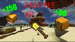 How to level up pets in Hypixel Skyblock fast