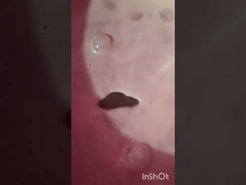 Chocolate Milk shake