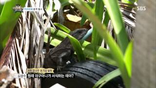정글의법칙 in 캐리비언 130726 #8(11)