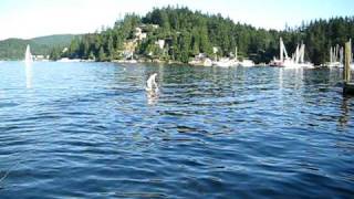 Water Trike - First time on the AquaSkipper in Deep Cove - Blast!