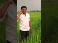 నేను ఫోన్ లో మాట్లాడేది లవర్ తో కాదు స్వామి 🤦♂️#viralshorts #trendingshorts #imax70mm