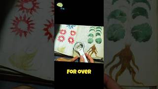 The Book No One Can Read - Voynich Manuscript Mystery