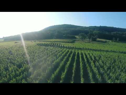 Video 3: Montholier