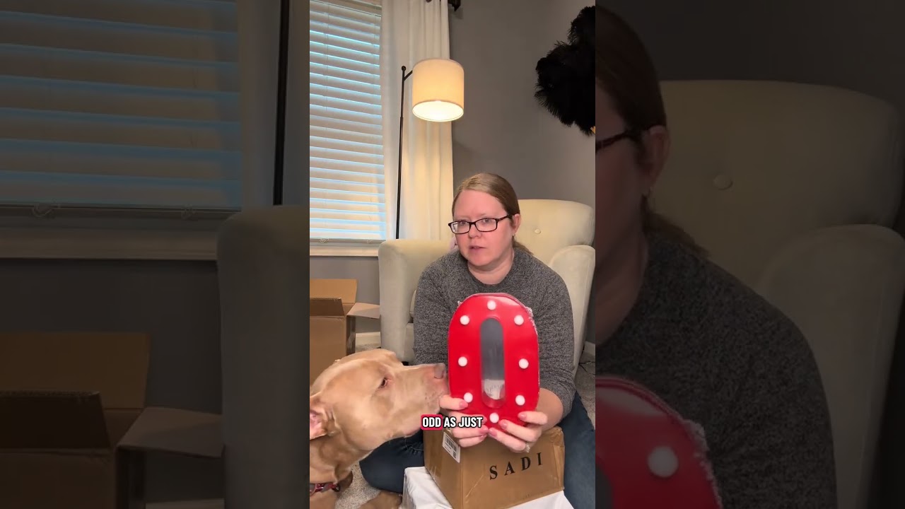 1/10 My first Small BupBox did not dissapoint! A collectible Pokémon card AND a Stanley?!? Plus many