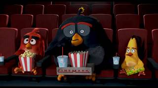 The Angry Birds Movie  злые птички смотрят кино