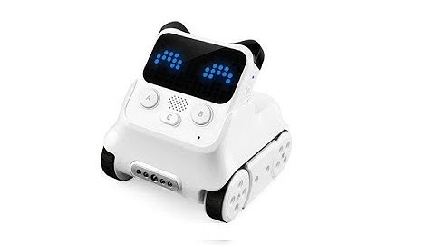 Best Programmable Robot - Codey Rocky