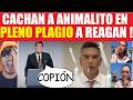 JAJAJA AnimAlito Moreno COPIA EXACTAMENTE un discurso de Reagan y las redes lo tundieron !