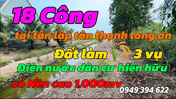 (Số 683) Bán 18 Công Đất Đẹp Nền cao 1 Công Tại Tân Lập Tân Thạnh LH 0949,394,622