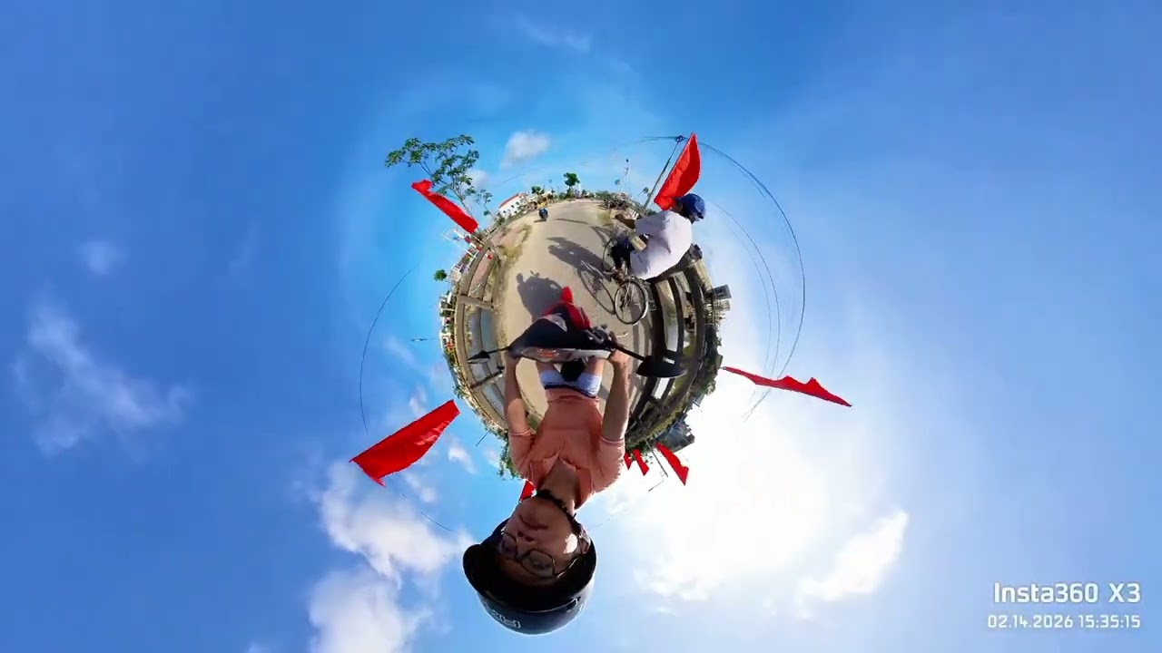 Dạo quanh nhà xem các vườn mai năm nay thế nào