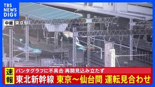 【速報】東北新幹線 上下線の運転見合わせ JR東日本「再開の見込み立っていない」 不具合パンタグラフの交換は終了　大宮駅～那須塩原駅の架線を点検中【午前11時30分現在】｜TBS NEWS DIG