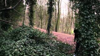 lcgm8 Disc Golf - Dutch Open 2010 pt5